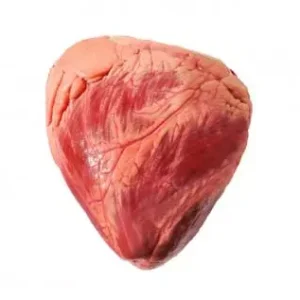 Beef heart