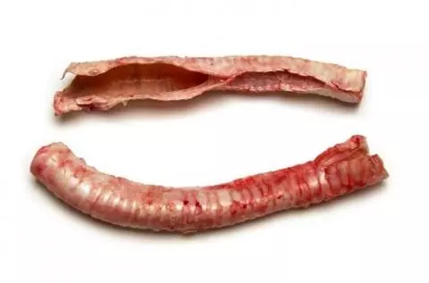 Beef trachea