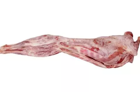 Lamb or sheep carcass