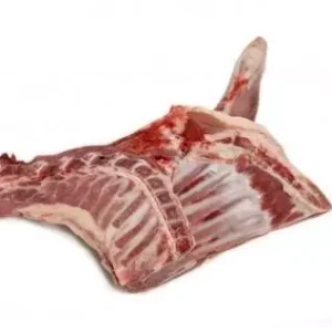 Lamb or sheep forequarter