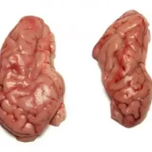 Pork brain
