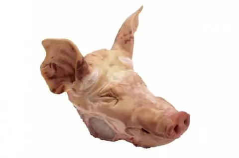 Pork head